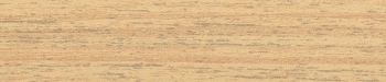 Nogueira