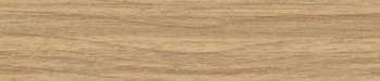 Elm Machiato